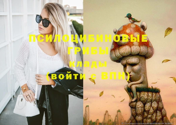 гашик Бородино