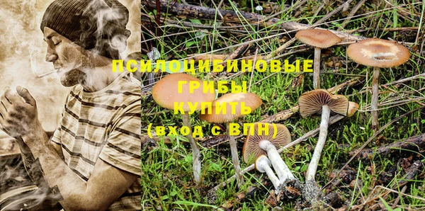 гашик Бородино