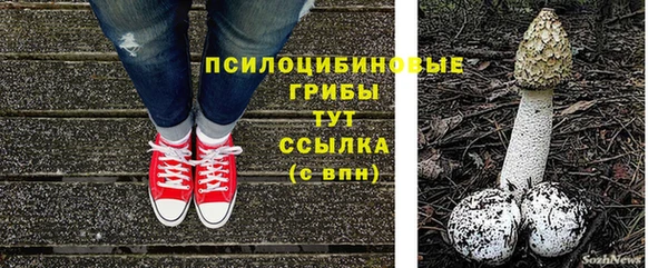 крисы Бугульма