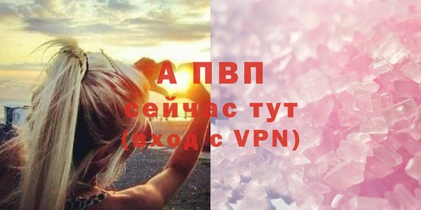 гашик Бородино