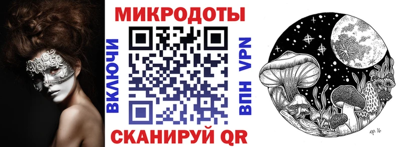 Псилоцибиновые грибы Psilocybine cubensis  Городовиковск 